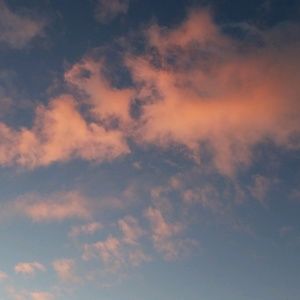 Meet your Posher, Bryan